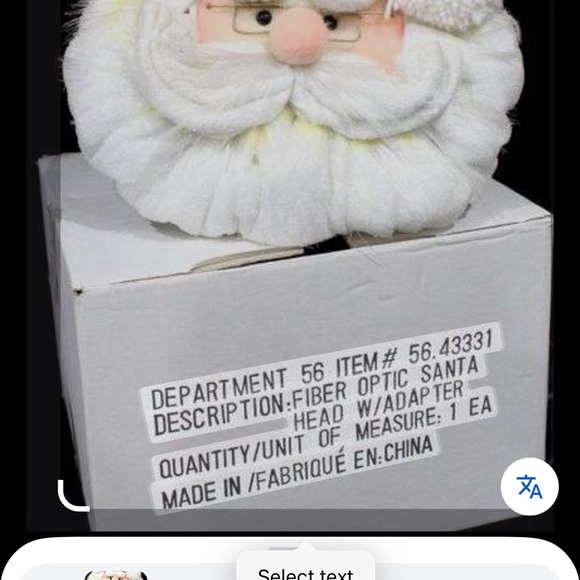 Other - Festive Fiber Optic Santa Head